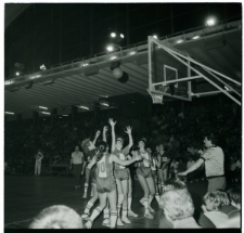 Skan Negatywu, Sygnatura 5351