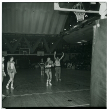 Skan Negatywu, Sygnatura 5351