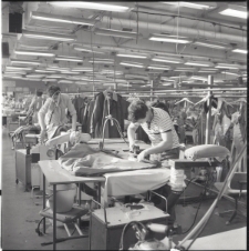 Skan Negatywu, Sygnatura 5517