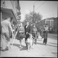 Skan Negatywu, Sygnatura 7021