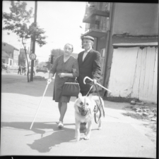 Skan Negatywu, Sygnatura 7021