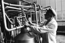 Skan Negatywu, Sygnatura 1944