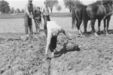 Skan Negatywu, Sygnatura 3260