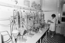 Skan Negatywu, Sygnatura 1131