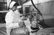 Skan Negatywu, Sygnatura 1131