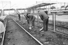 Skan Negatywu, Sygnatura 1949