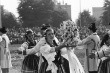 Skan Negatywu, Sygnatura 2052