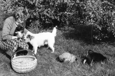 Skan Negatywu, Sygnatura 2054