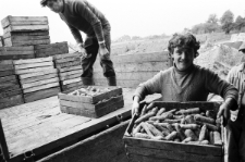 Skan Negatywu, Sygnatura 2099