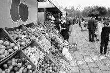 Skan Negatywu, Sygnatura 2100