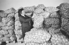 Skan Negatywu, Sygnatura 2797