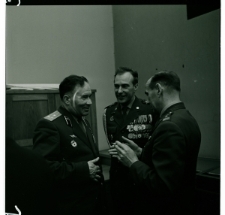 Skan Negatywu, Sygnatura 173