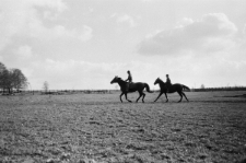 Skan Negatywu, Sygnatura 2802