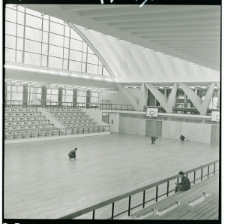 Skan Negatywu, Sygnatura 177