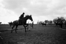 Skan Negatywu, Sygnatura 2802