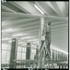 Skan Negatywu, Sygnatura 177