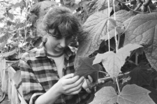 Skan Negatywu, Sygnatura 2988