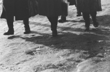 Skan Negatywu, Sygnatura 3011