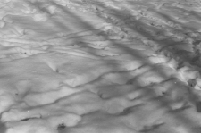 Skan Negatywu, Sygnatura 3011