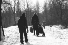 Skan Negatywu, Sygnatura 3011