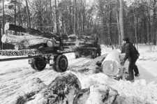 Skan Negatywu, Sygnatura 877