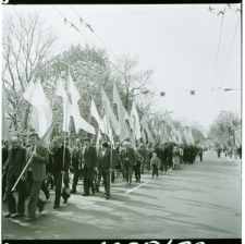 Skan Negatywu, Sygnatura 1035