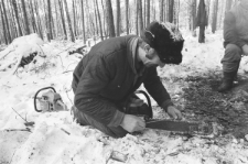 Skan Negatywu, Sygnatura 877