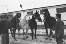 Skan Negatywu, Sygnatura 926