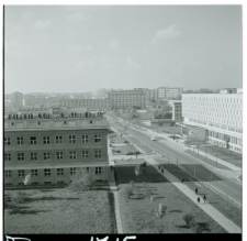 Skan Negatywu, Sygnatura 1715