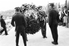 Skan Negatywu, Sygnatura 1890