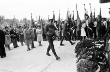 Skan Negatywu, Sygnatura 1890