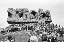 Skan Negatywu, Sygnatura 1890