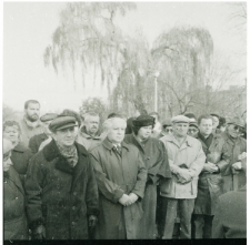 Skan Negatywu, Sygnatura 6592