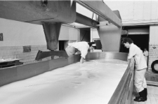 Skan Negatywu, Sygnatura 1942