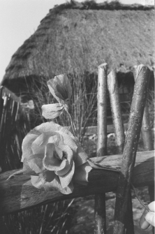 Skan Negatywu, Sygnatura 3090