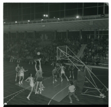 Skan Negatywu, 1 &ndash; 12 Sport