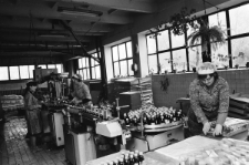 Skan Negatywu, Sygnatura 1728