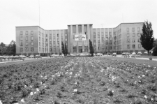 Skan Negatywu, Sygnatura 1945