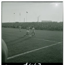 Skan Negatywu, Sygnatura 1447