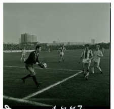 Skan Negatywu, Sygnatura 1447