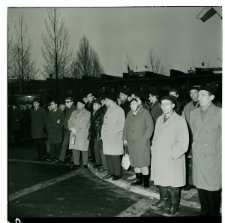 Skan Negatywu, Sygnatura 1878