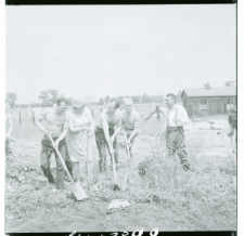 Skan Negatywu, Sygnatura 3899