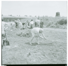 Skan Negatywu, Sygnatura 3899