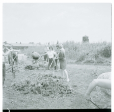 Skan Negatywu, Sygnatura 3899