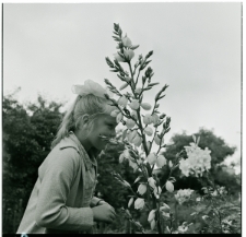 Skan Negatywu, 1 - 12 Pokazy straży na wieżowcu przy ul. Wieniawskiej