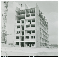 Skan Negatywu, Sygnatura 1016