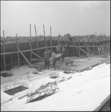 Skan Negatywu, Sygnatura 7146