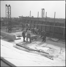 Skan Negatywu, Sygnatura 7146