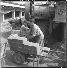 Skan Negatywu, Sygnatura 7148