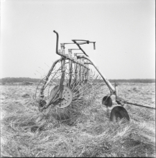 Skan Negatywu, Sygnatura 7150